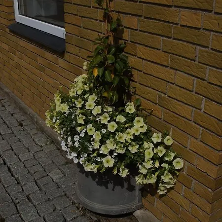 Egtved Hotel Otel 2*